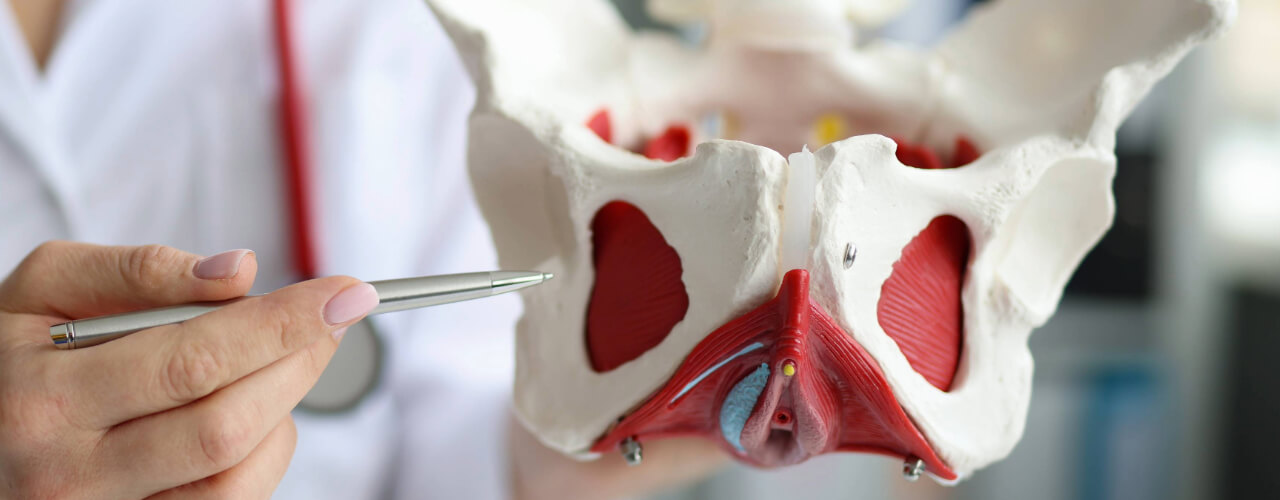 Pelvic Organ Prolapse